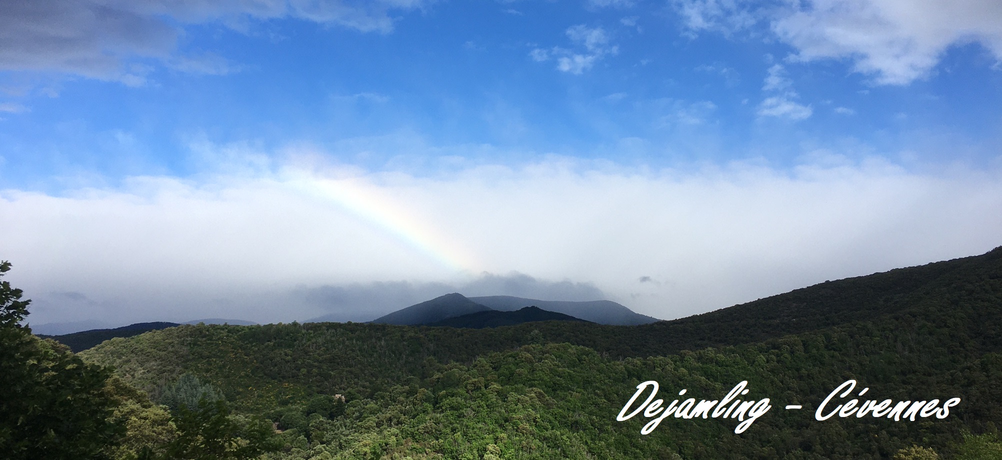 Déjamling - Cévennes
